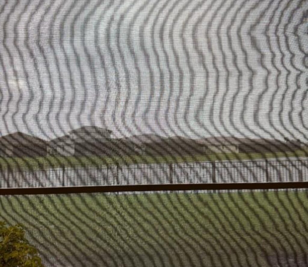 Moire effect-img