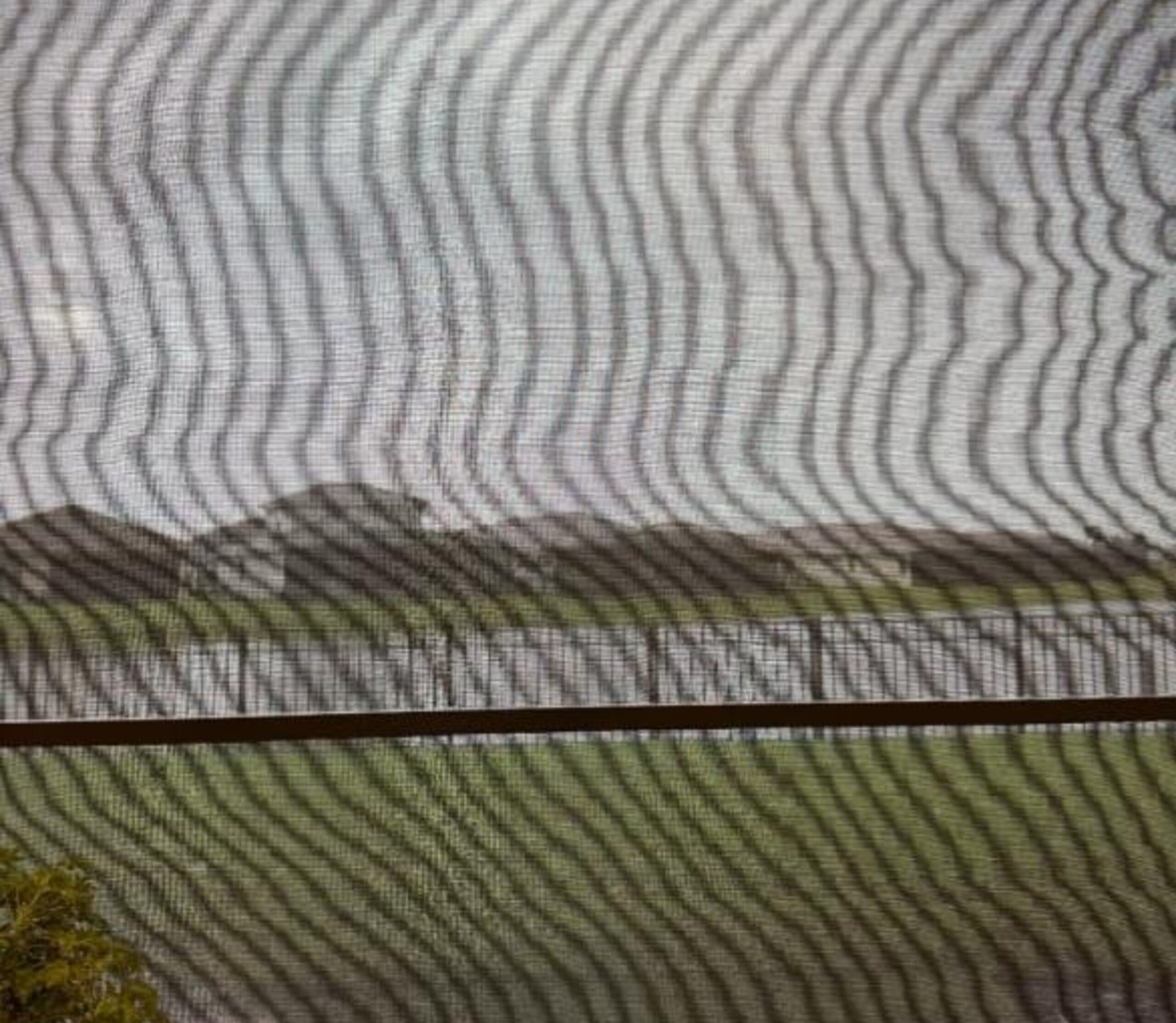 Moire effect-img